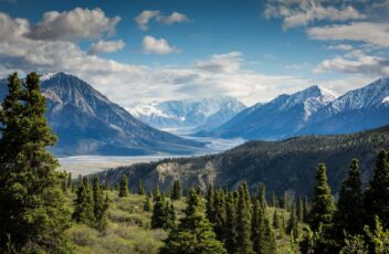 Wyoming LLCs