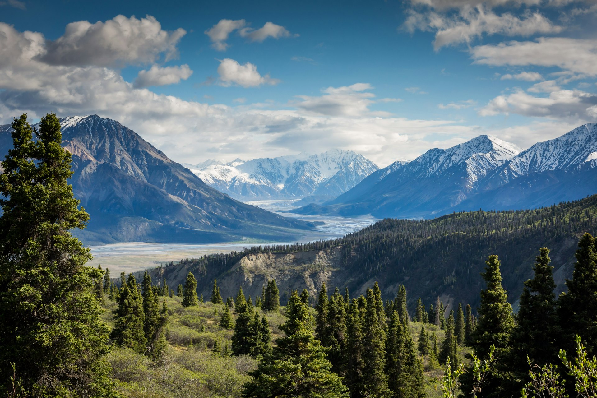 Wyoming LLCs